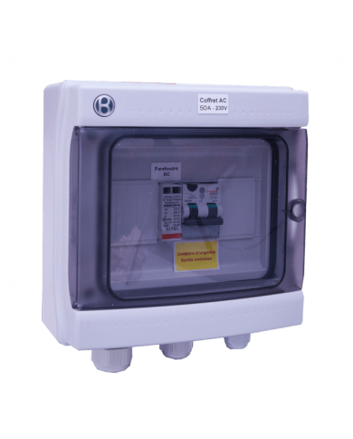 Box 63A 230V monofase AC 14kW per fotovoltaico Box 63A 230V monofase AC 14kW per fotovoltaico