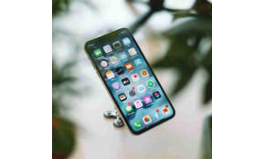 I social network che vogliono salvare il pianeta