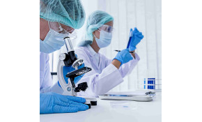 Energia solare: una rivoluzione con grafene e molibdenite?