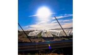 Collegare efficacemente energia e agricoltura Collegare efficacemente energia e agricoltura